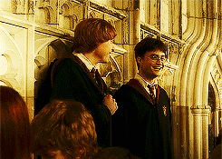 Ron and Harry friendship